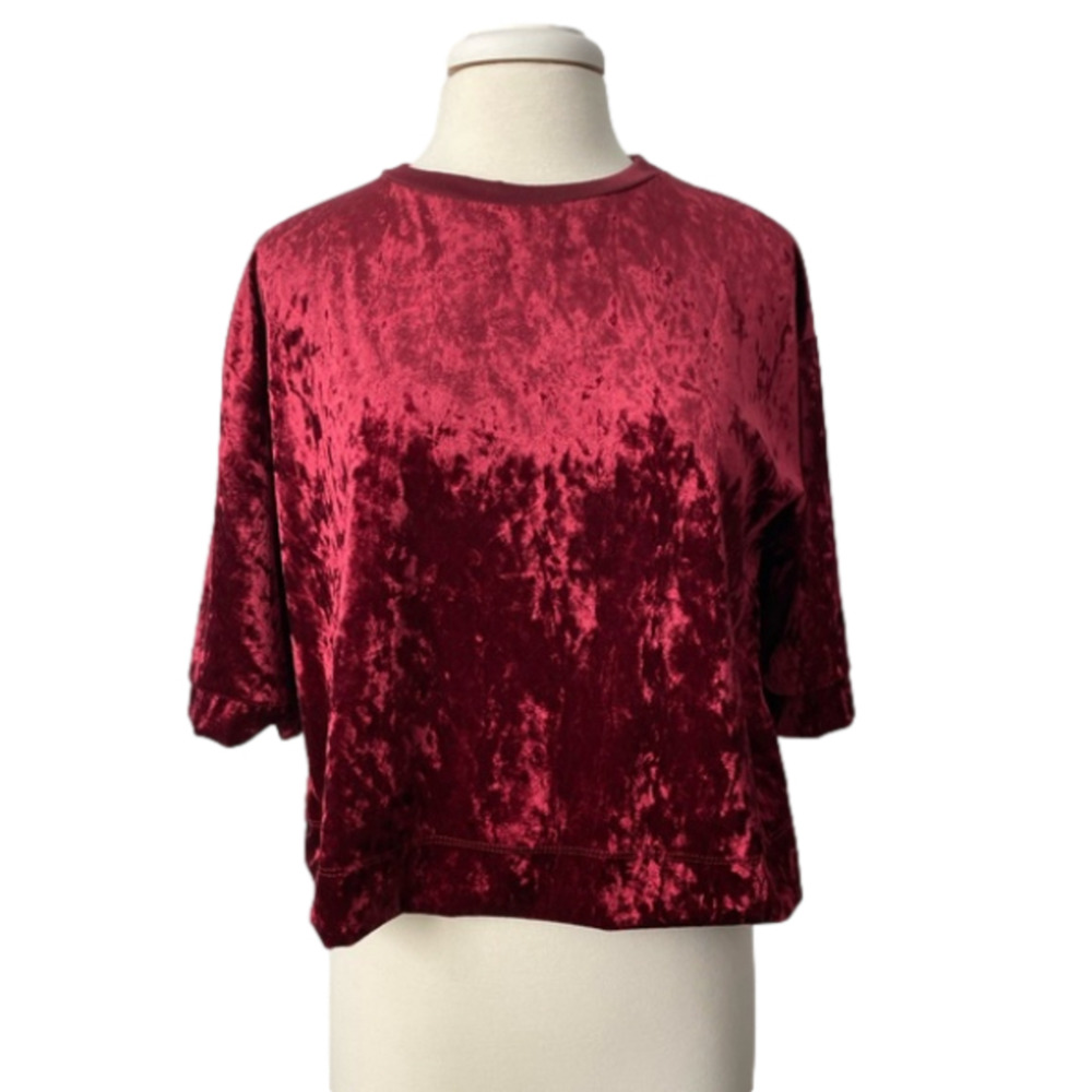 Ginger G Women's M Whimsigoth Red Velvet Elbow Sleeve Oversized Cropped Boxy Top